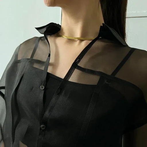 Organza Over Shirt