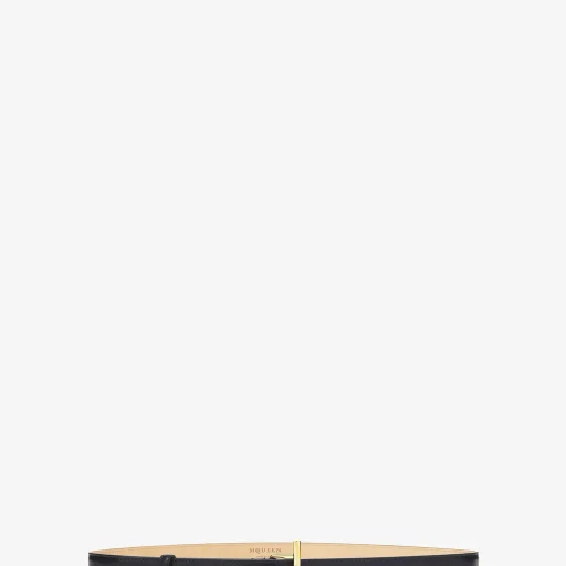 Mcqueen T-Bar Hip Belt