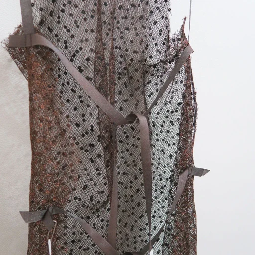 Dots Emb. Tulle Bib Top