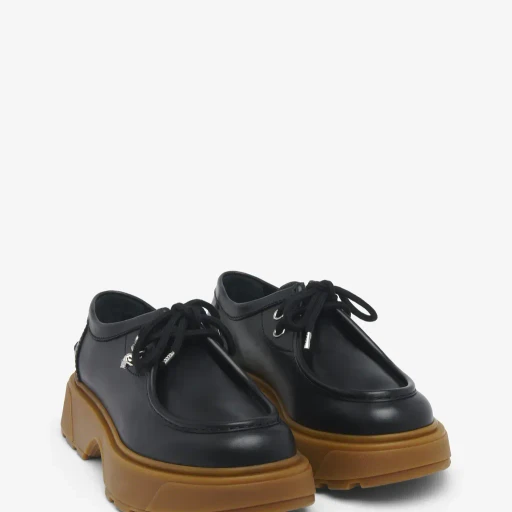 Rover Shoe