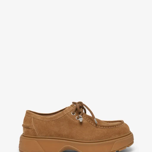 Rover Shoe