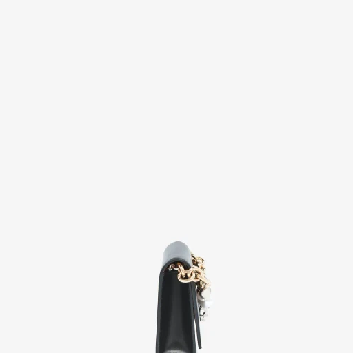 Skull Bag