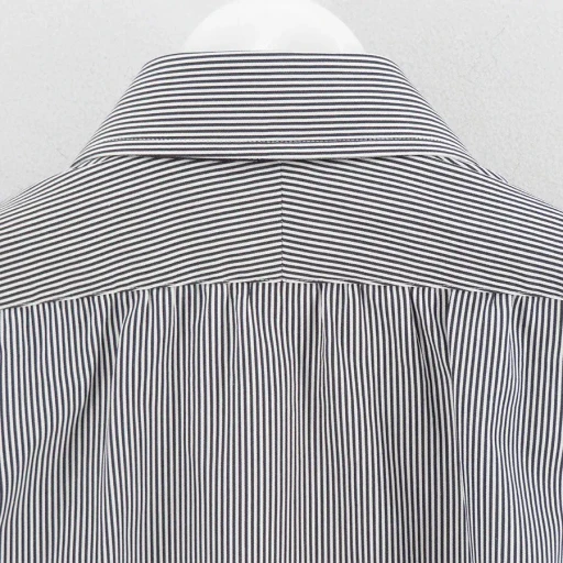 Black Stripe James