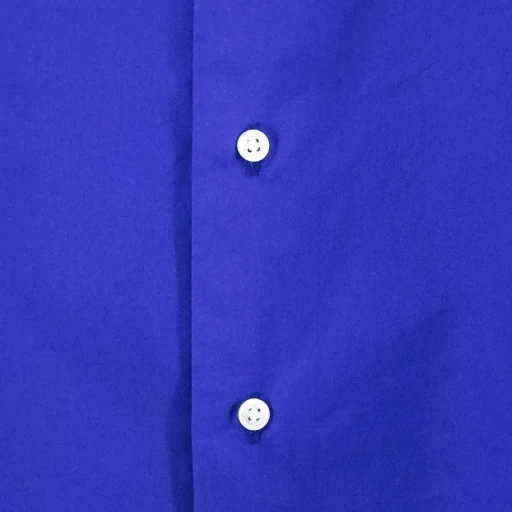 Alan Shirts Puple Blue