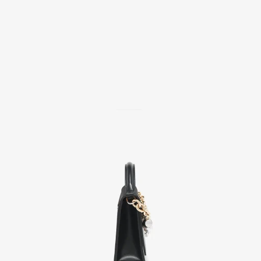 Top Handle Skull Bag