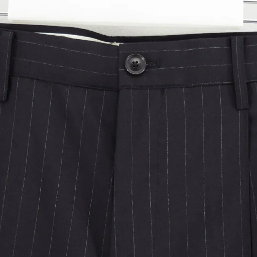 Pleated Stripe Summer Wool Pants
