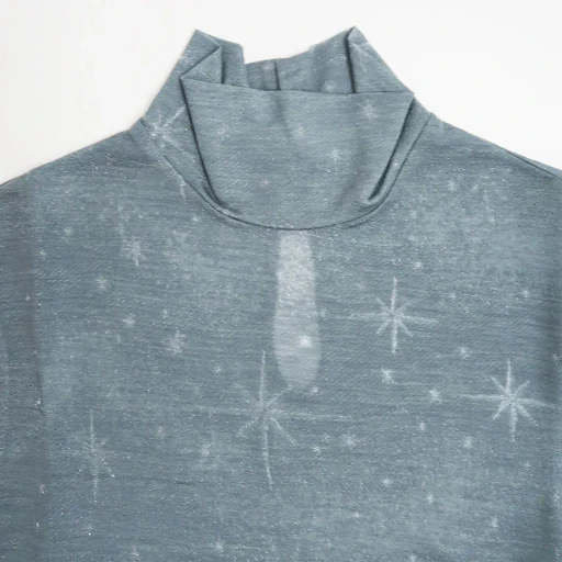 Starry Jersey Short Sleeve Sheer Top