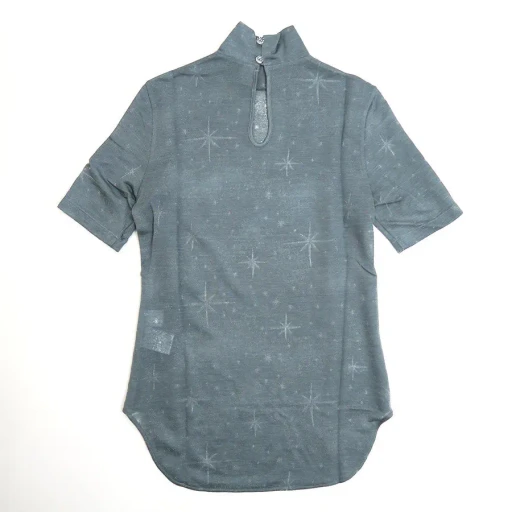 Starry Jersey Short Sleeve Sheer Top