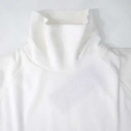 ”Loopwheeler” For Gp High Neck Sweat