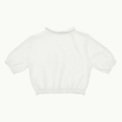 Sheer Cropped Knit