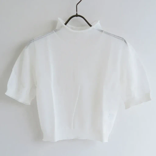 Sheer Cropped Knit