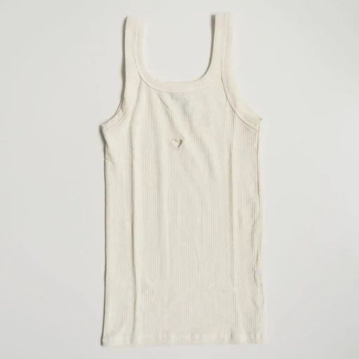 Heart Tank