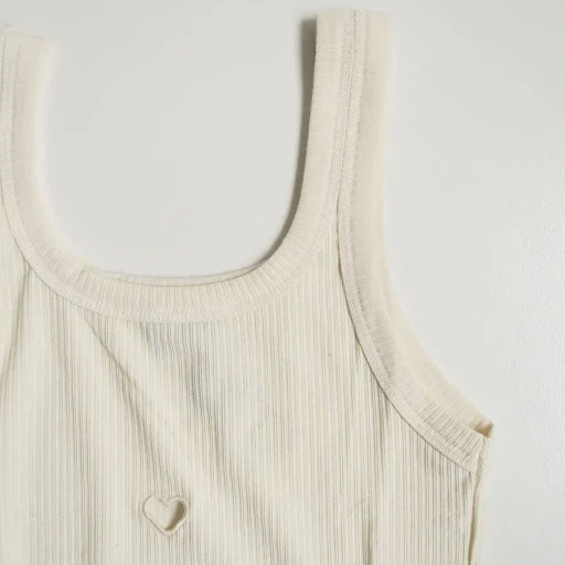 Heart Tank