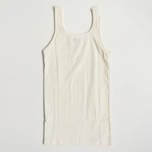 Heart Tank