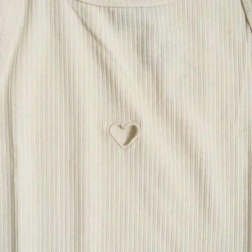 Heart Tank