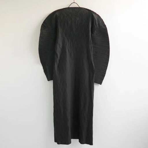 Pleated Dress