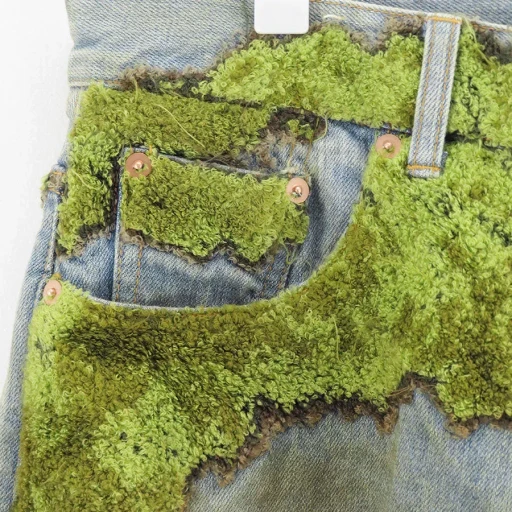 Moss-Grown Wood Denim Pants