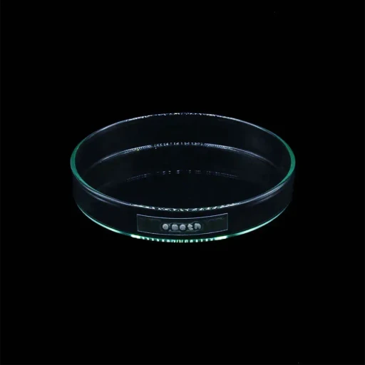 Emeth No.002 Socrates Cactus Pot
