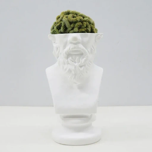 Emeth No.002 Socrates Cactus Pot