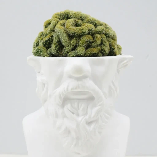 Emeth No.002 Socrates Cactus Pot