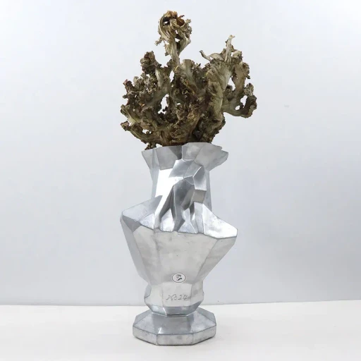 One-Off Chamfer Venus