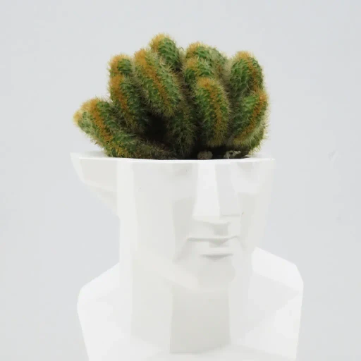 Emeth No.005 Chamfer Venus Cactus Pot