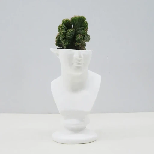 Emeth No.001 Venus Cactus Pot