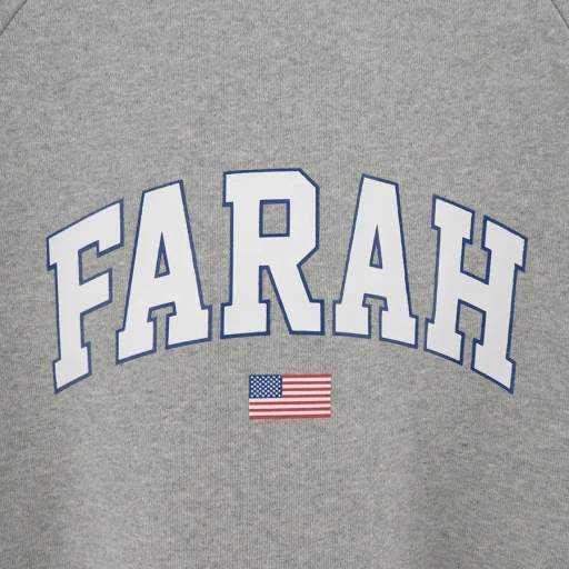 Printed Graphic Crewneck Sweatshirt College Logo