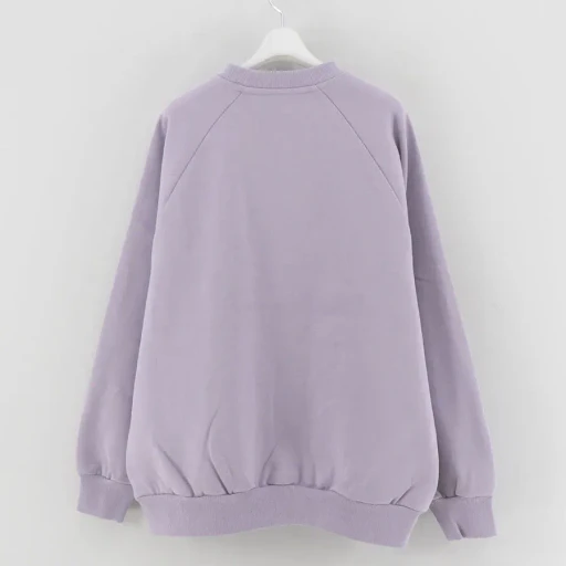 Printed Graphic Crewneck Sweatshirt College Logo