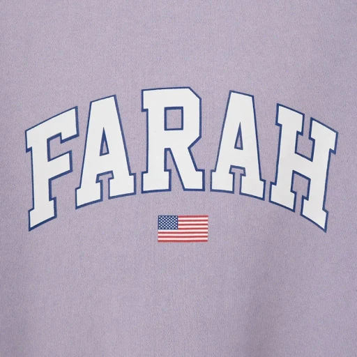 Printed Graphic Crewneck Sweatshirt College Logo