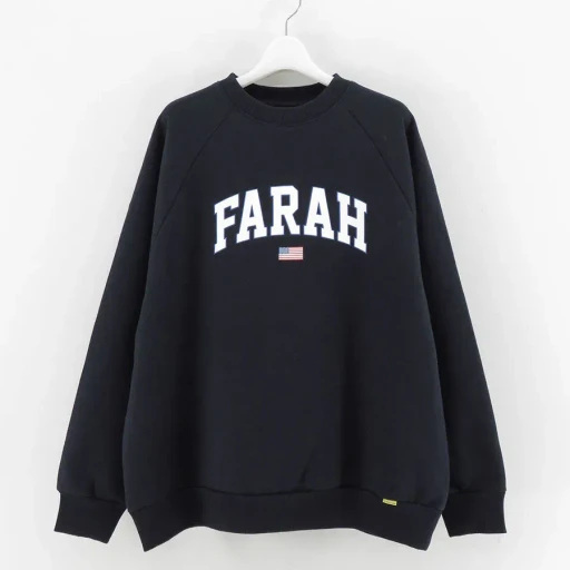 Printed Graphic Crewneck Sweatshirt College Logo