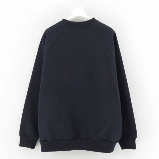 Printed Graphic Crewneck Sweatshirt College Logo