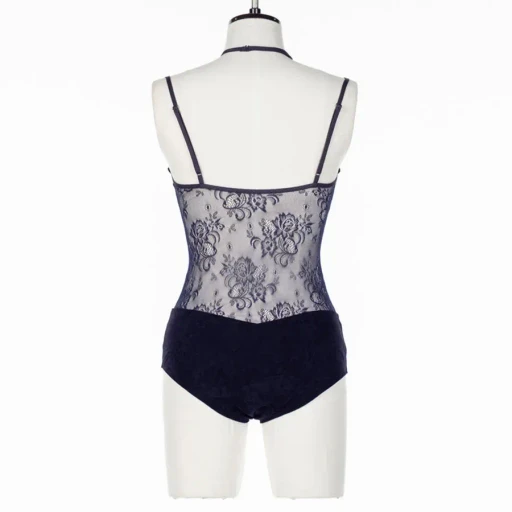 Sheer Paneled Velour Bodysuit