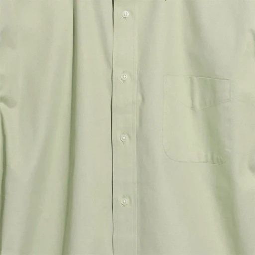 Regular Collar Shirt