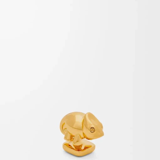 Chameleon Pin In Brass
