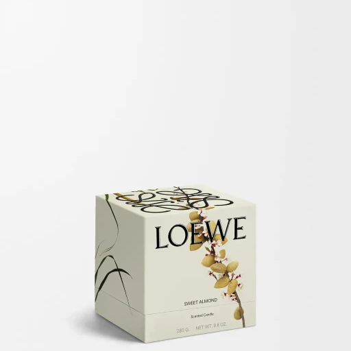 Midi Sweet Almond Scented Candle