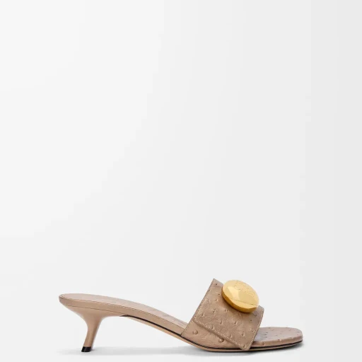 Pebble Slide In Ostrich