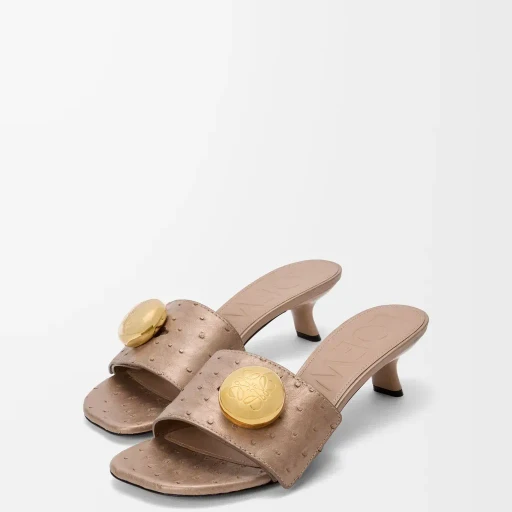 Pebble Slide In Ostrich