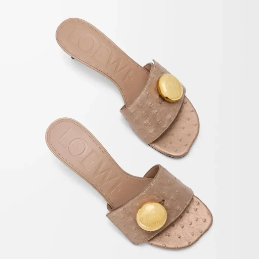 Pebble Slide In Ostrich
