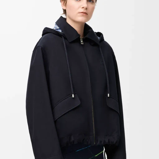 Hooded Parka In Cotton And Silk