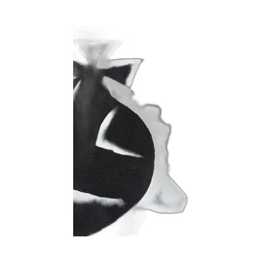 Logo Cotton T-Shirt