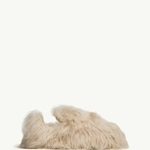 Snug Shearling Flats
