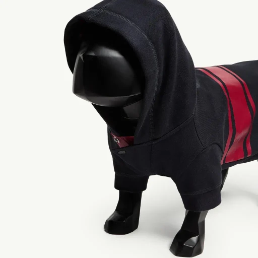 Cotton Dog Hoodie