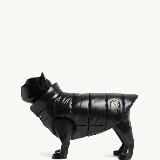 Padded Dog Gilet