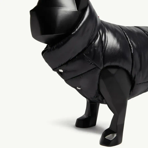 Padded Dog Gilet