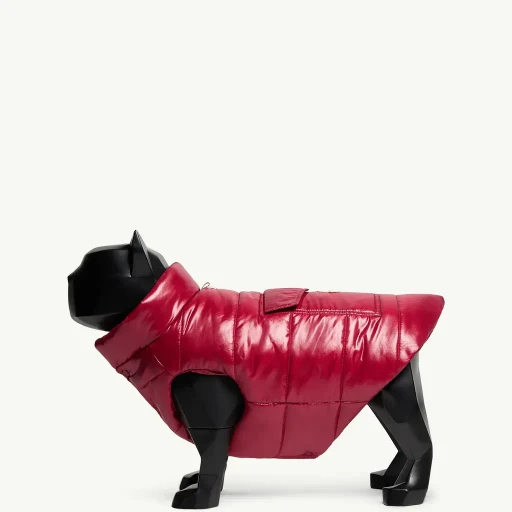 Padded Dog Gilet