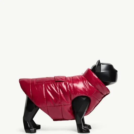 Padded Dog Gilet