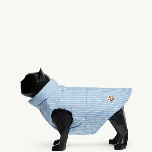 Padded Reversible Dog Gilet