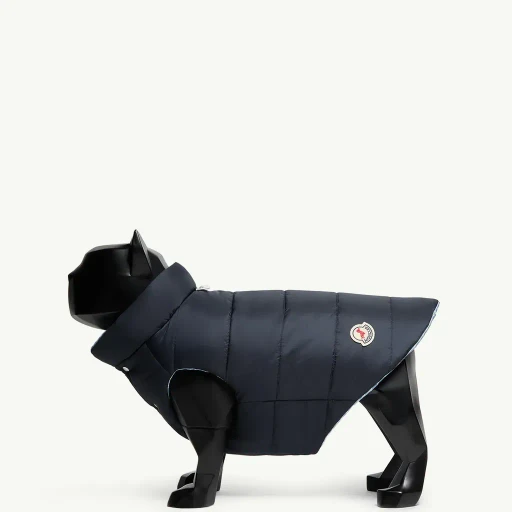 Padded Reversible Dog Gilet