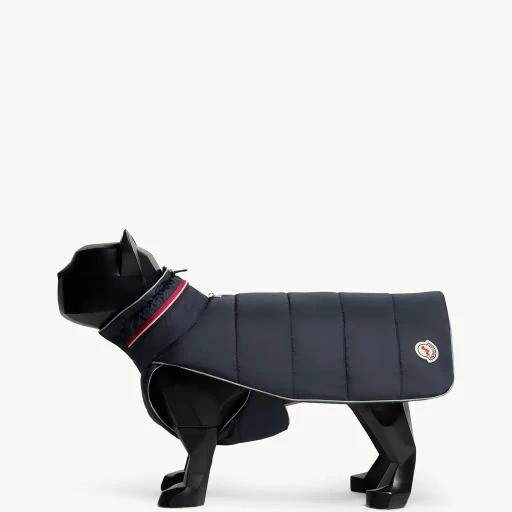 Tricolour-Trimmed Padded Dog Gilet